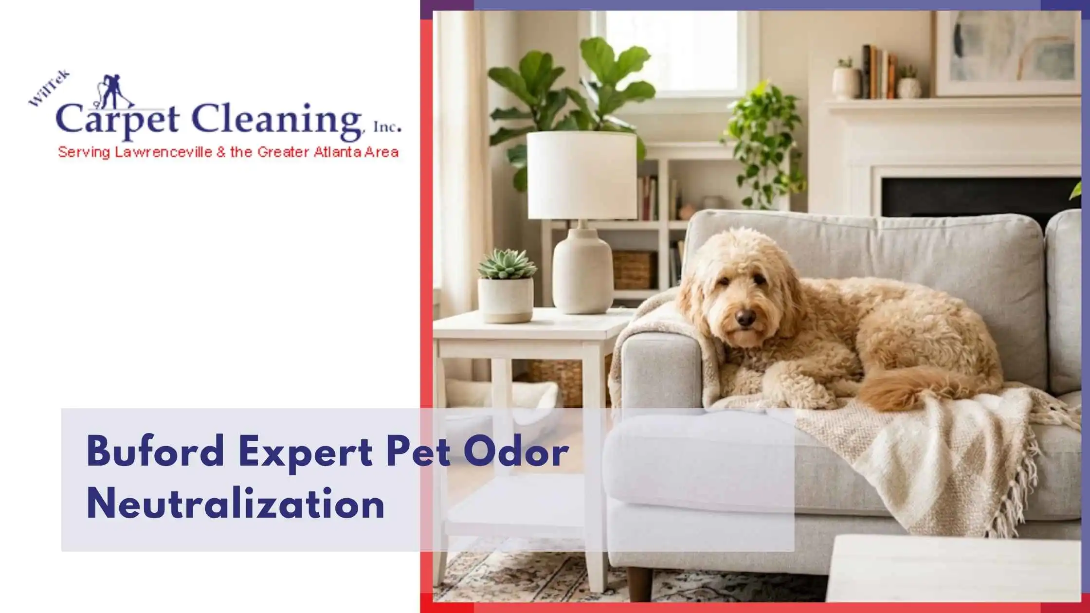 Buford Expert Pet Odor Neutralization
