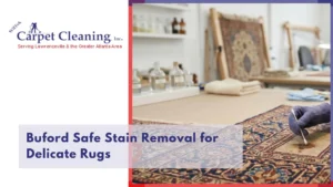 Buford Safe Stain Removal for Delicate Rugs